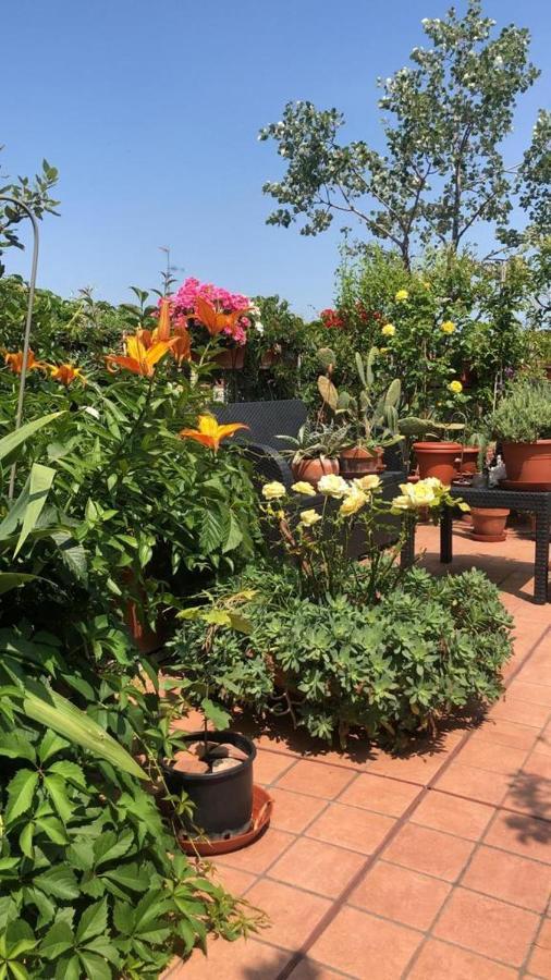 Il Giardino Sui Tetti Apartment Bologna Bagian luar foto